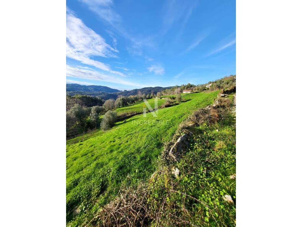 Terreno Rústico 8500 m² em Abadim, Cabeceiras de Basto - Grande imagem: 2/9