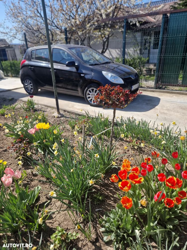 Hyundai i20 1.4 CRDI L Classic - 2