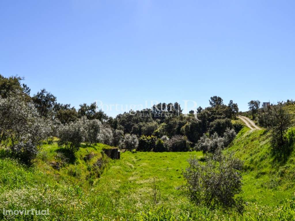 Terreno rústico com 2.317 m2 em Proença-a-Nova - Grande imagem: 4/18