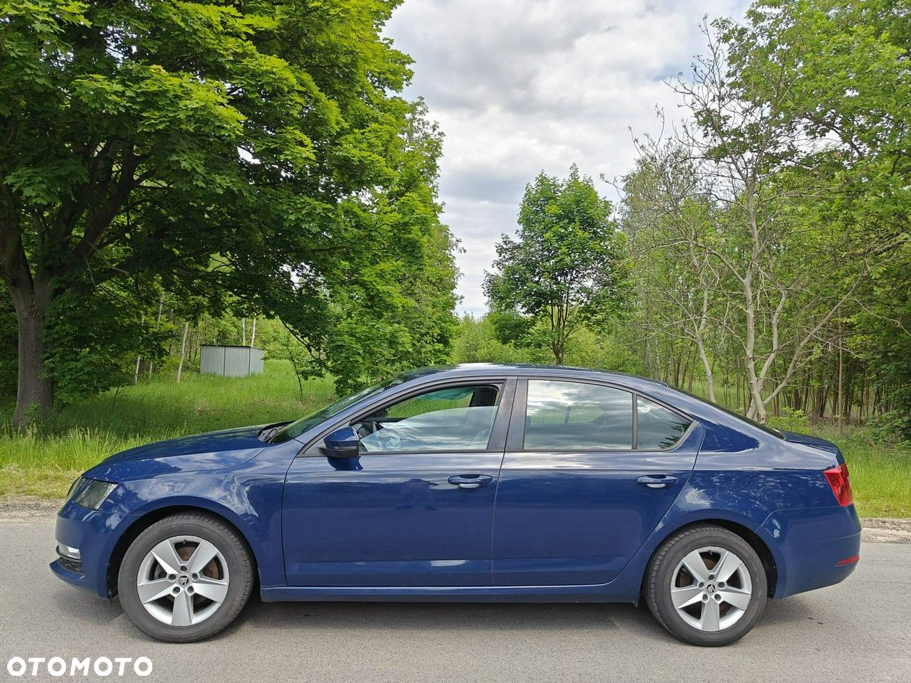Skoda Octavia - 8