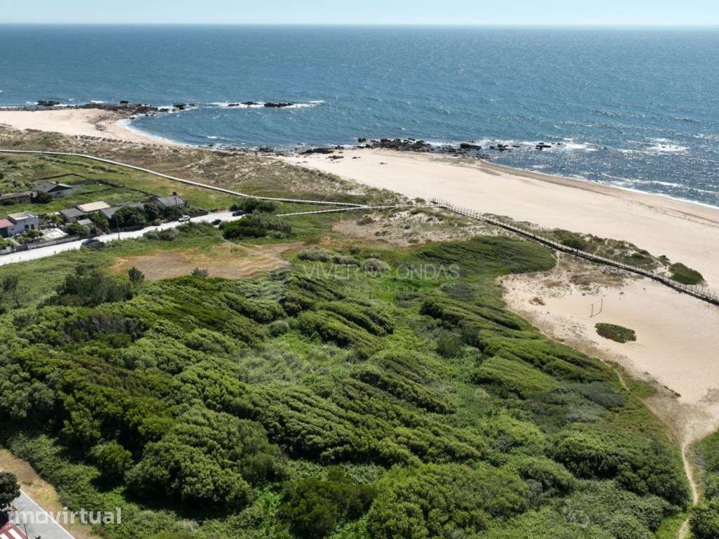 Terreno com 8.250m2 e vista mar, na Madalena. - Grande imagem: 4/15