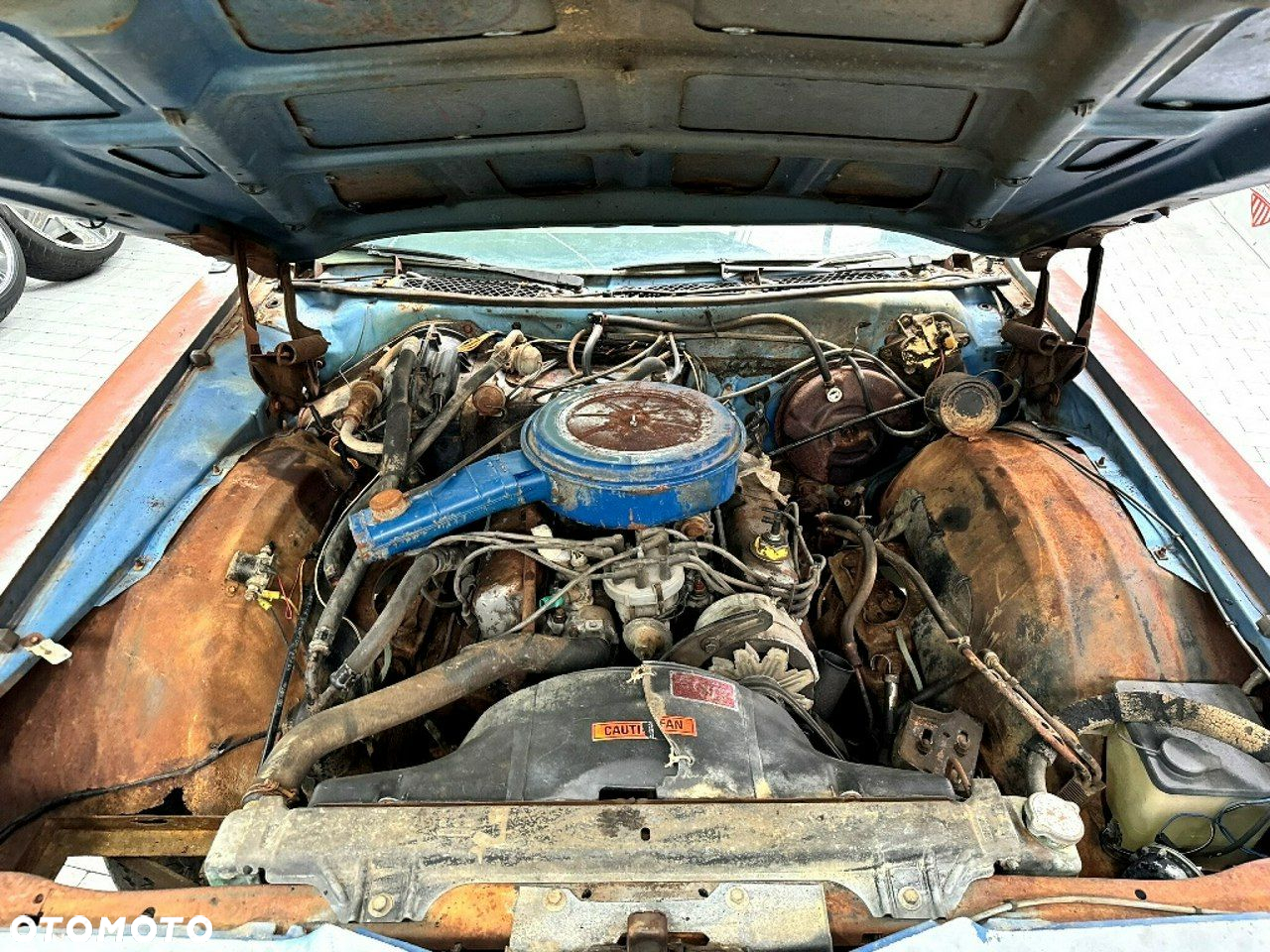 Ford Inny - 17