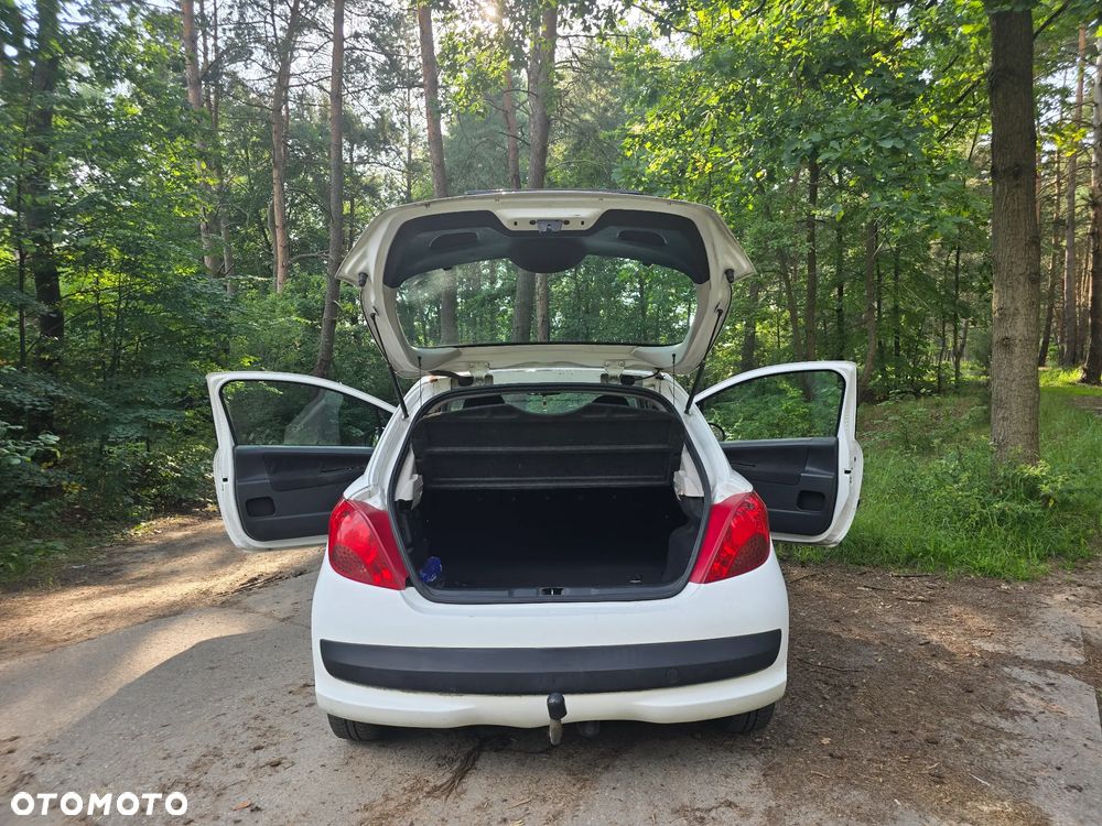 Peugeot 207 - 8