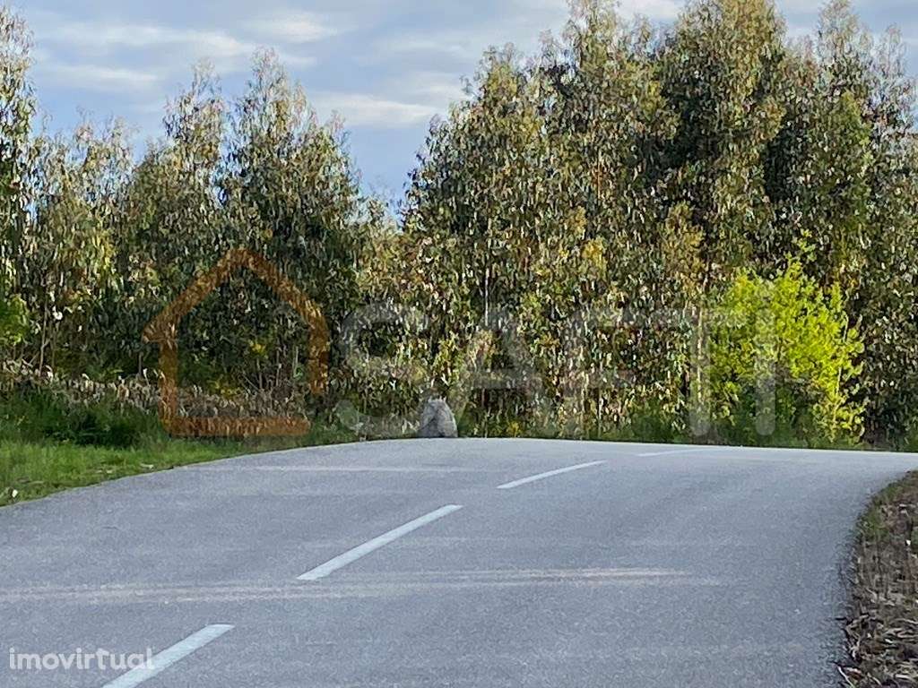 Terreno rústico junto a Anta Vende-se 360 m2 40 000€ TND - Grande imagem: 2/14