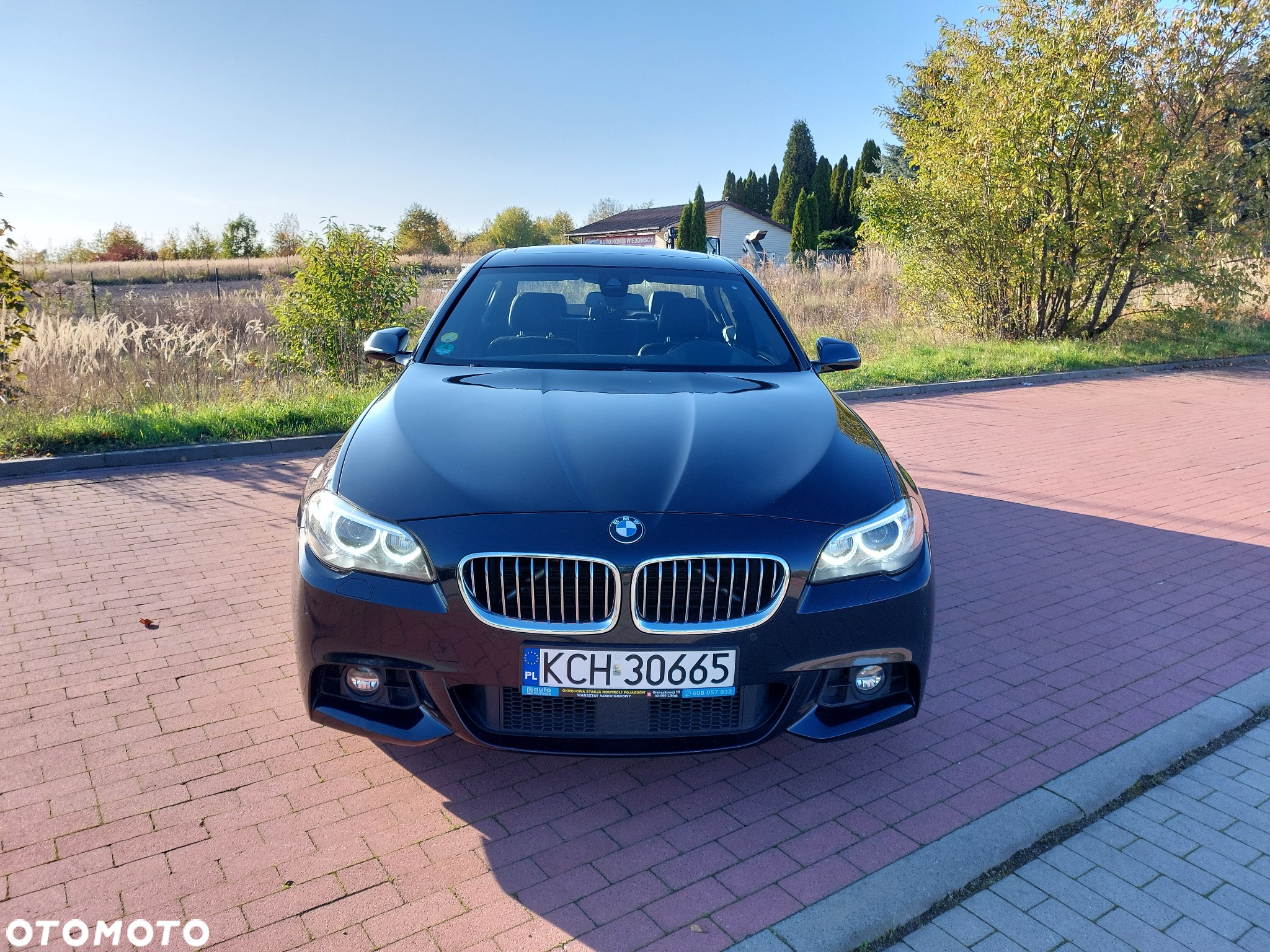 BMW Seria 5 520d M Sport - 12