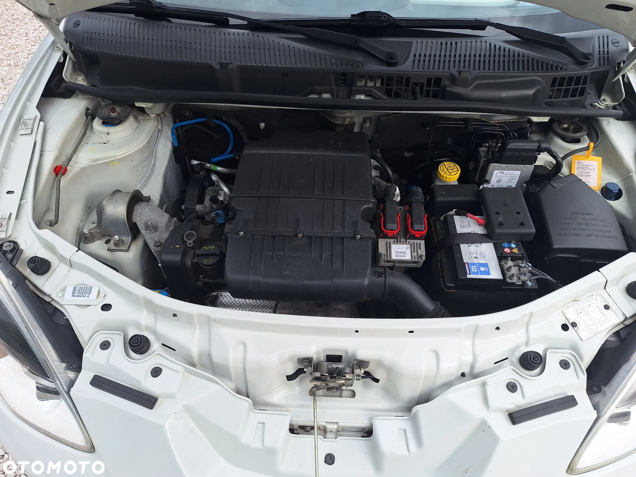 Lancia Ypsilon 1.2 8V Argento (4 os.) - 36