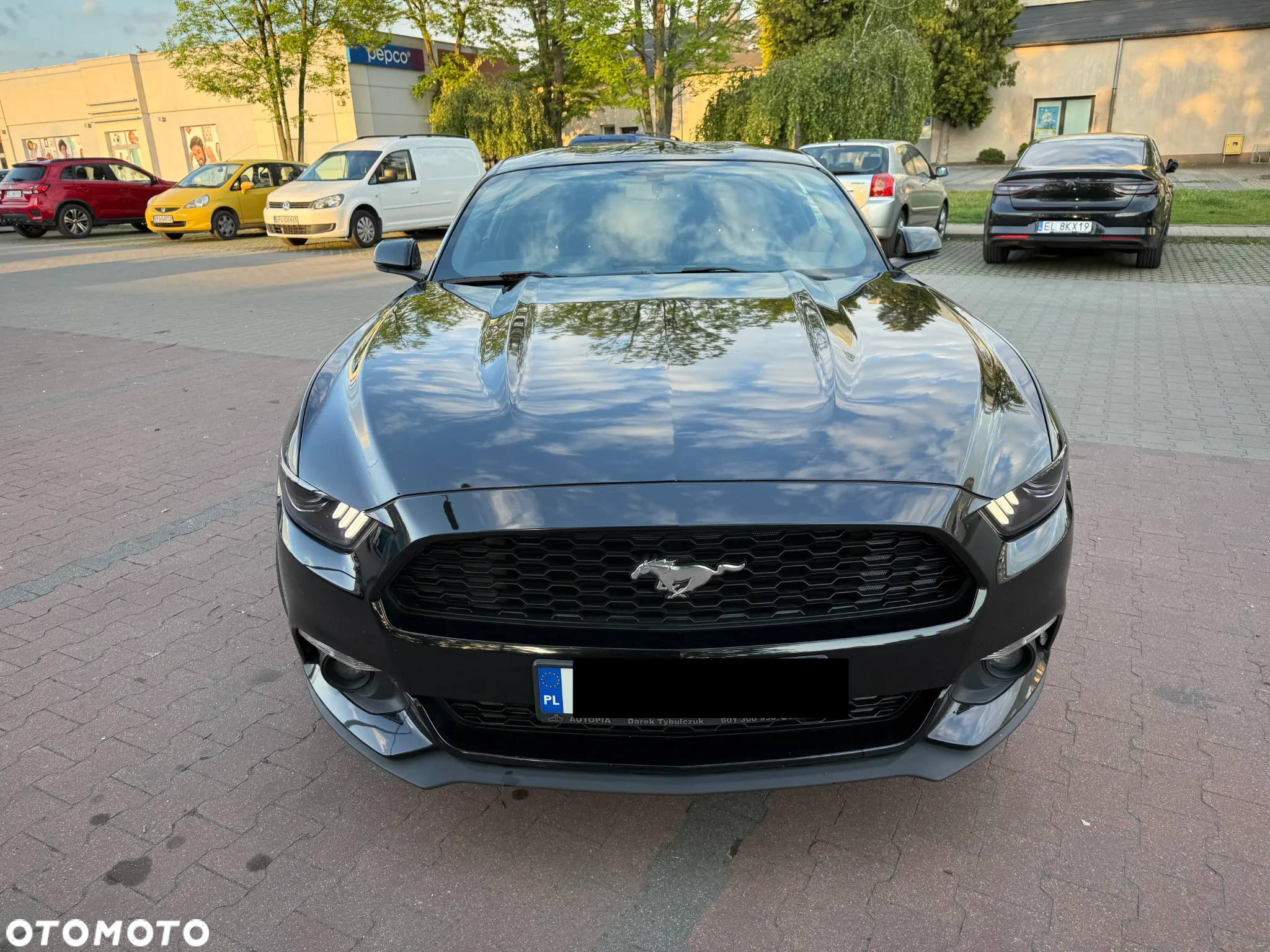 Ford Mustang 2.3 EcoBoost - 3