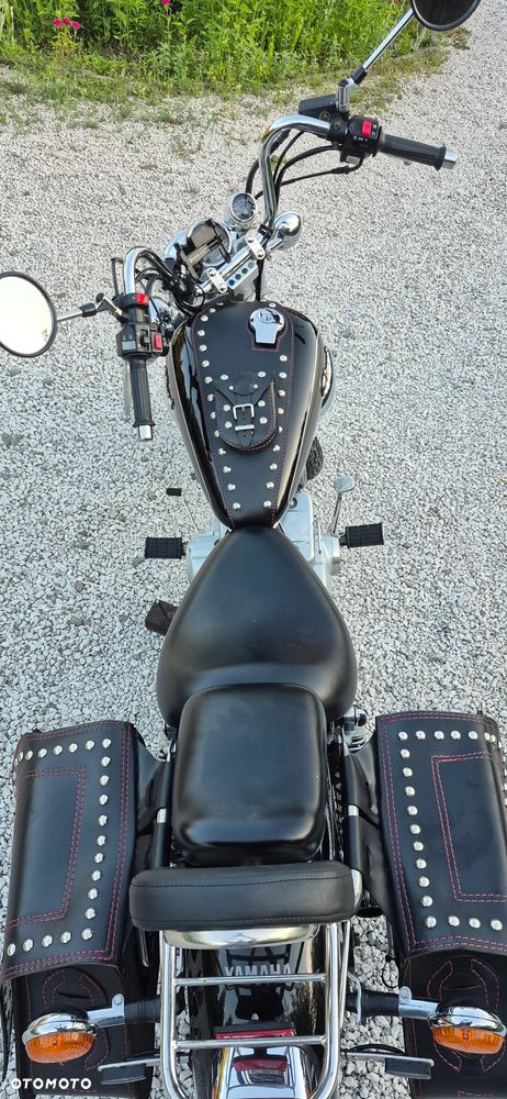 Yamaha Virago - 5