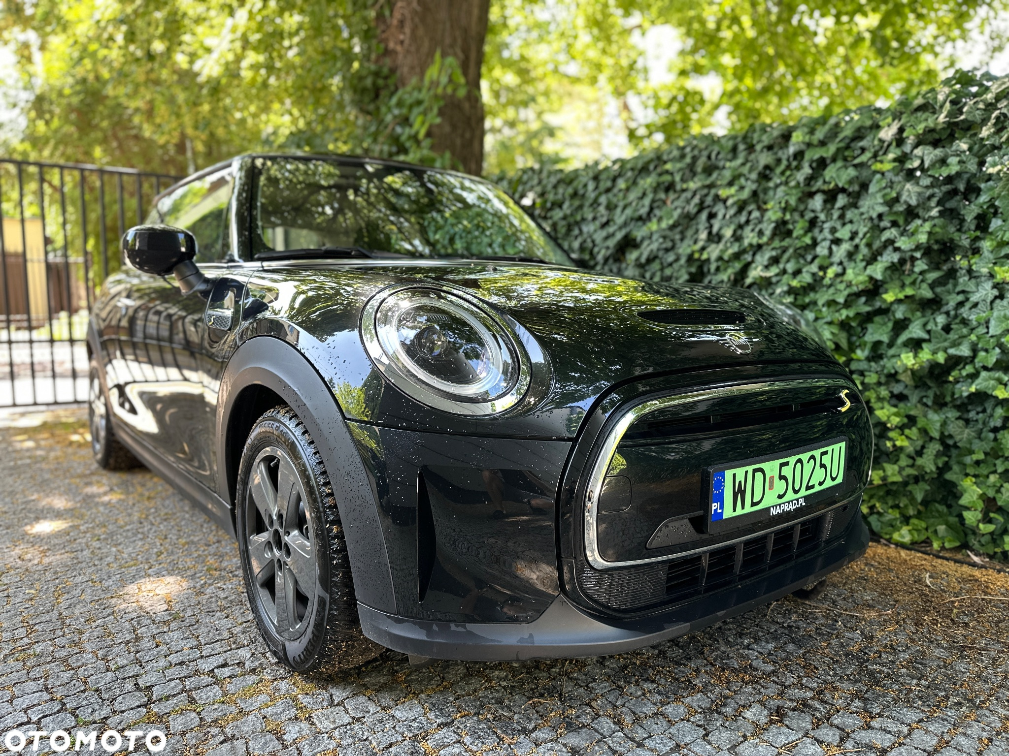 MINI Cooper SE Essential Trim - 7