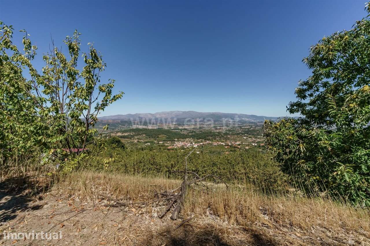 Quinta V0 Aldeia Nova do Cabo Fundão - Full image: 4/15