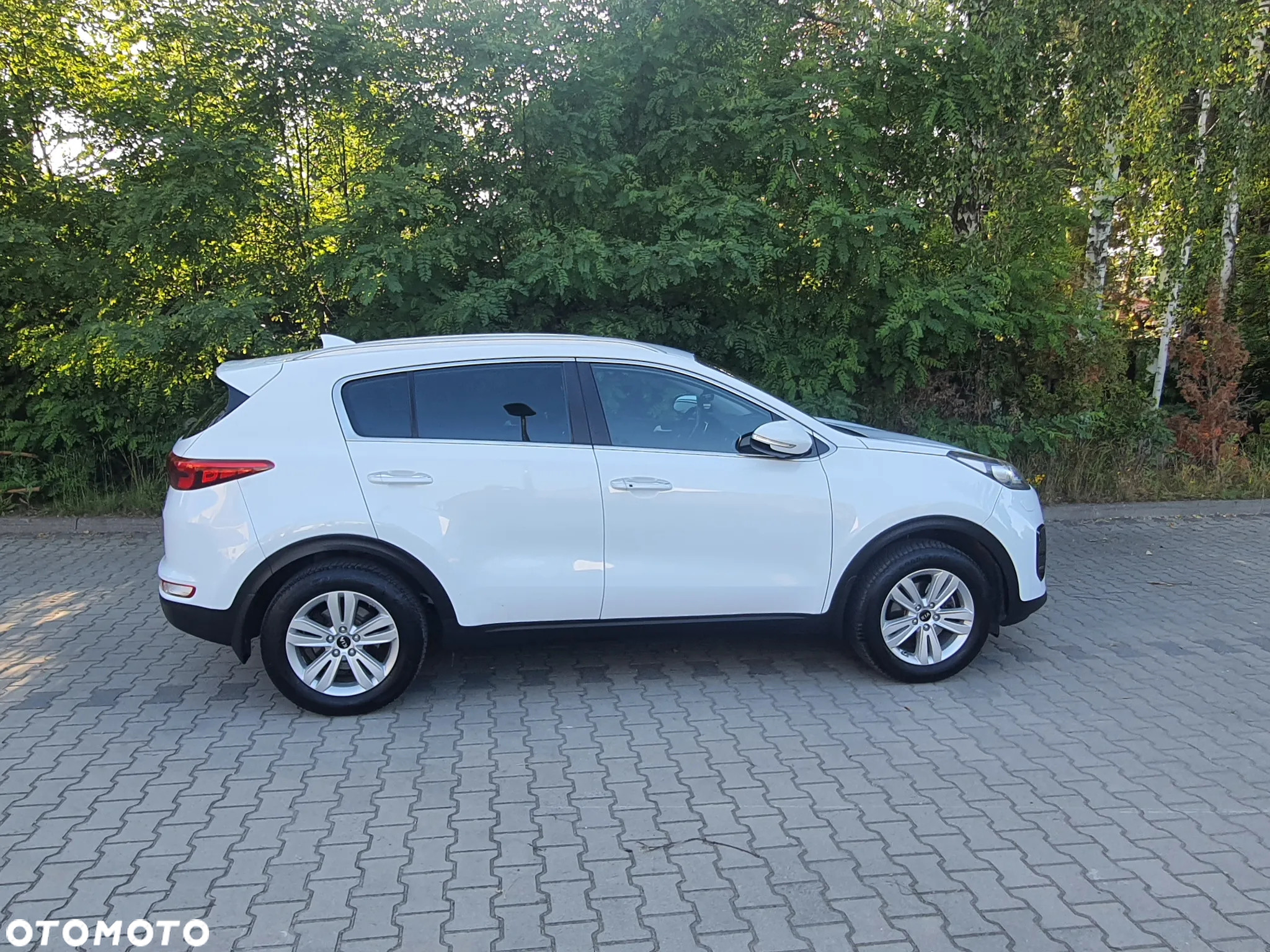 Kia Sportage 1.6 GDI Business Line 2WD - 5