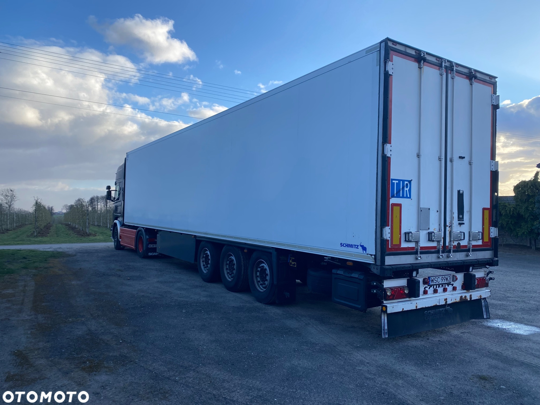 Schmitz Cargobull SKO - 7
