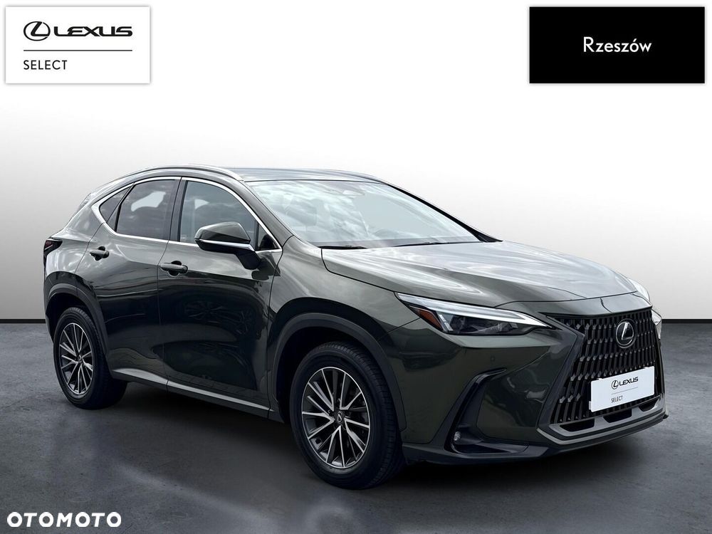 Lexus NX 350h Prestige AWD - 7