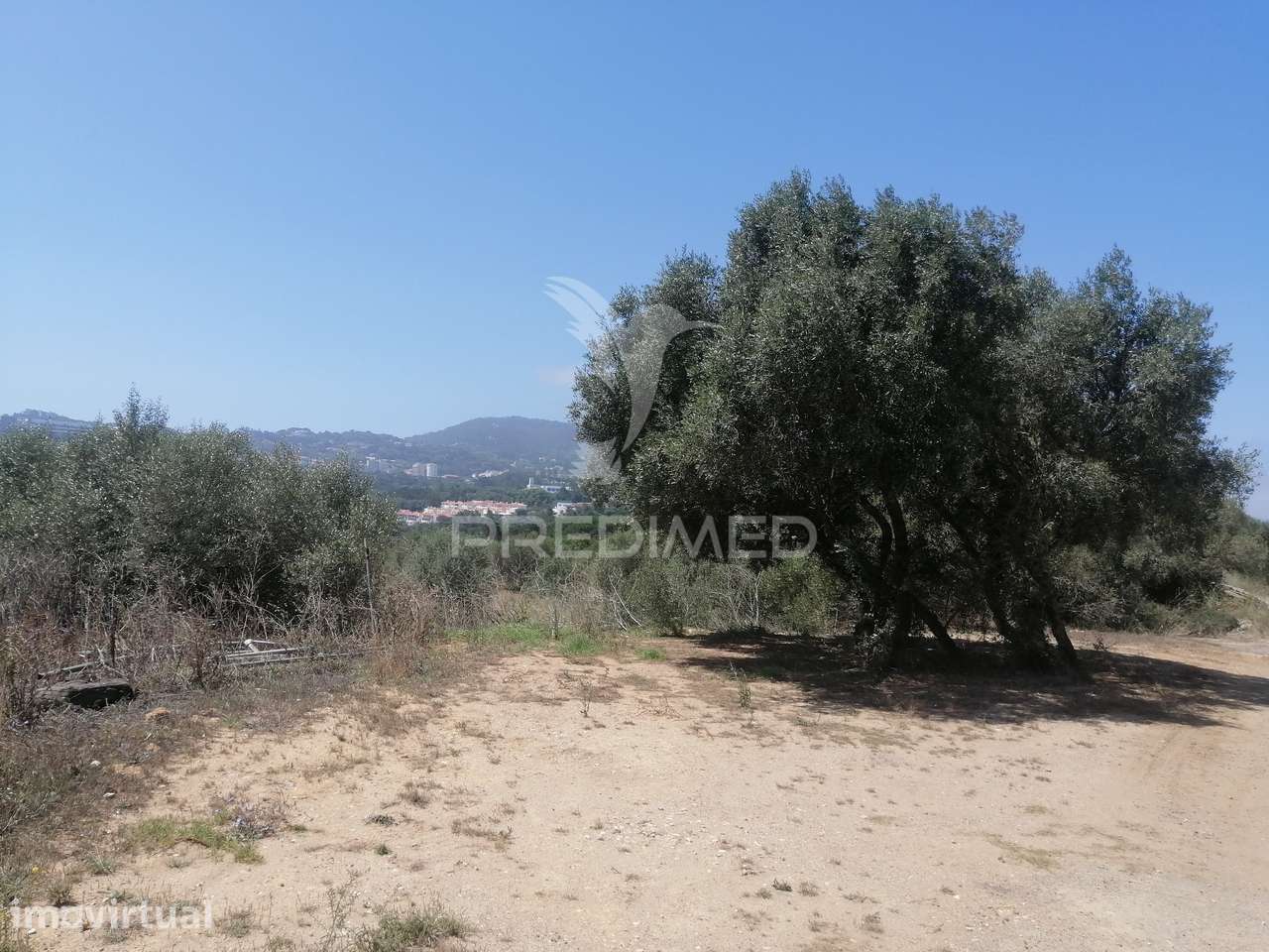 Terreno 2.480 m² com vista deslumbrante para a Serra de Sintra | Lo... - Grande imagem: 2/11