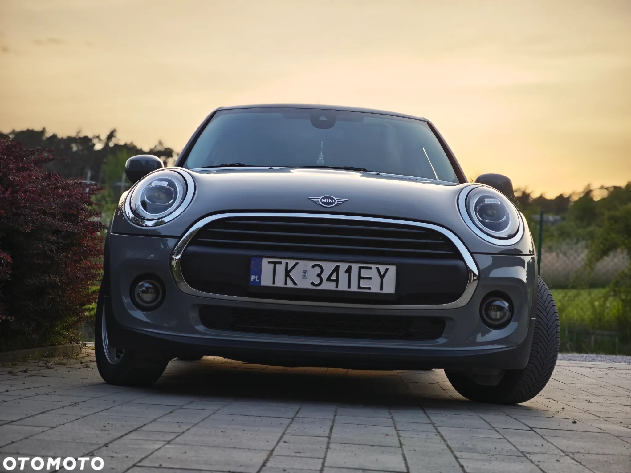 MINI ONE - 13