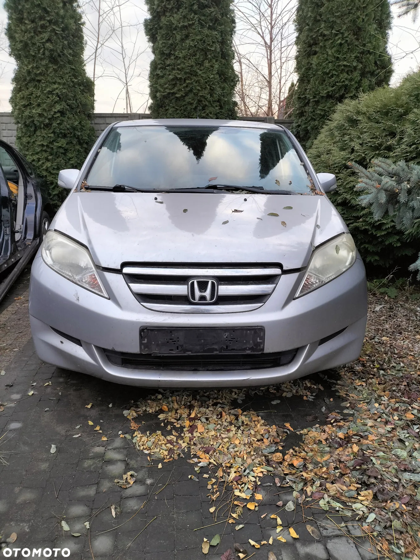 DRZWI PRAWE LEWE PRZÓD HONDA FR-V 05-09r KOD LAK. NH625M - 13