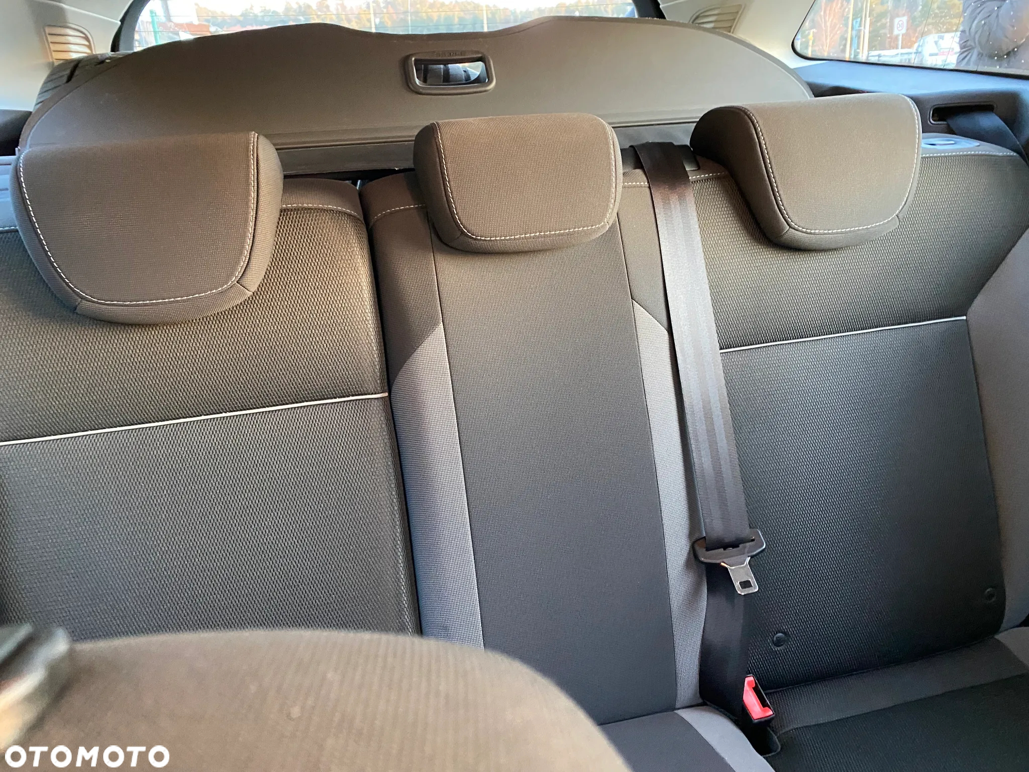 Ford Focus - 25