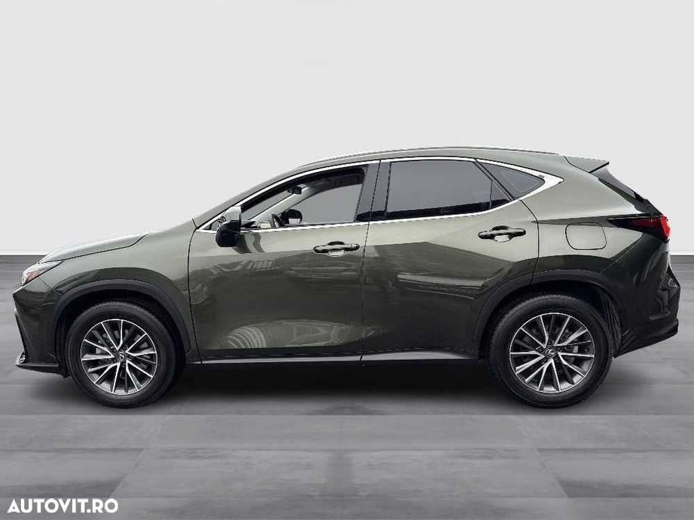 Lexus Seria NX 350h AWD CVT HEV Business - 7