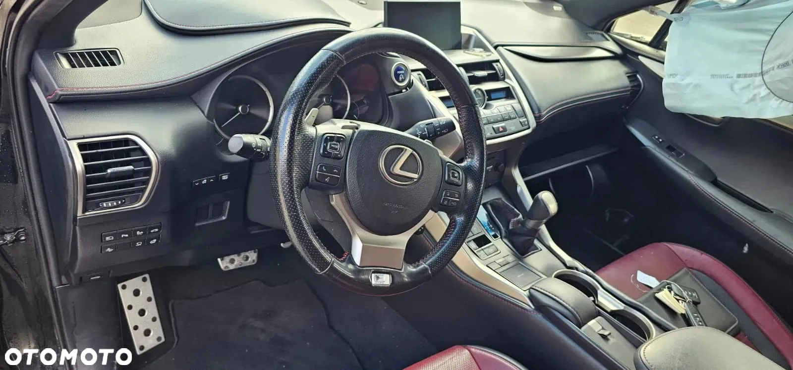 Lexus NX 300h F Sport Edition AWD - 10