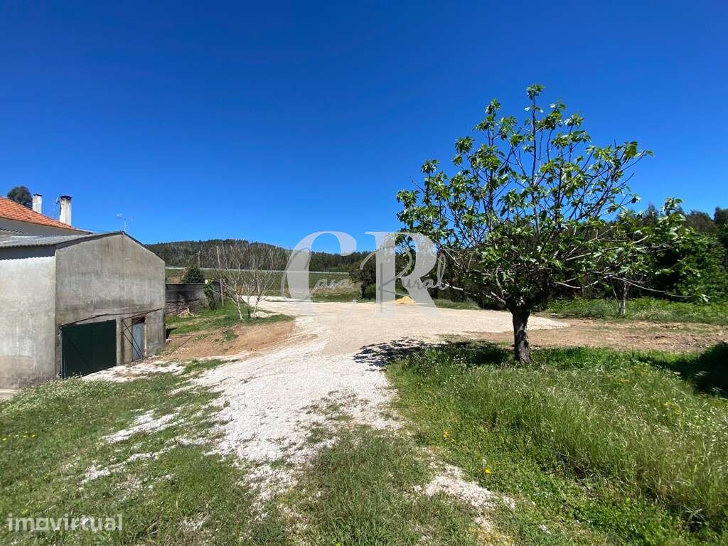Terreno para arrendamento junto à N236-1 com anexos/garagens - Grande imagem: 2/15
