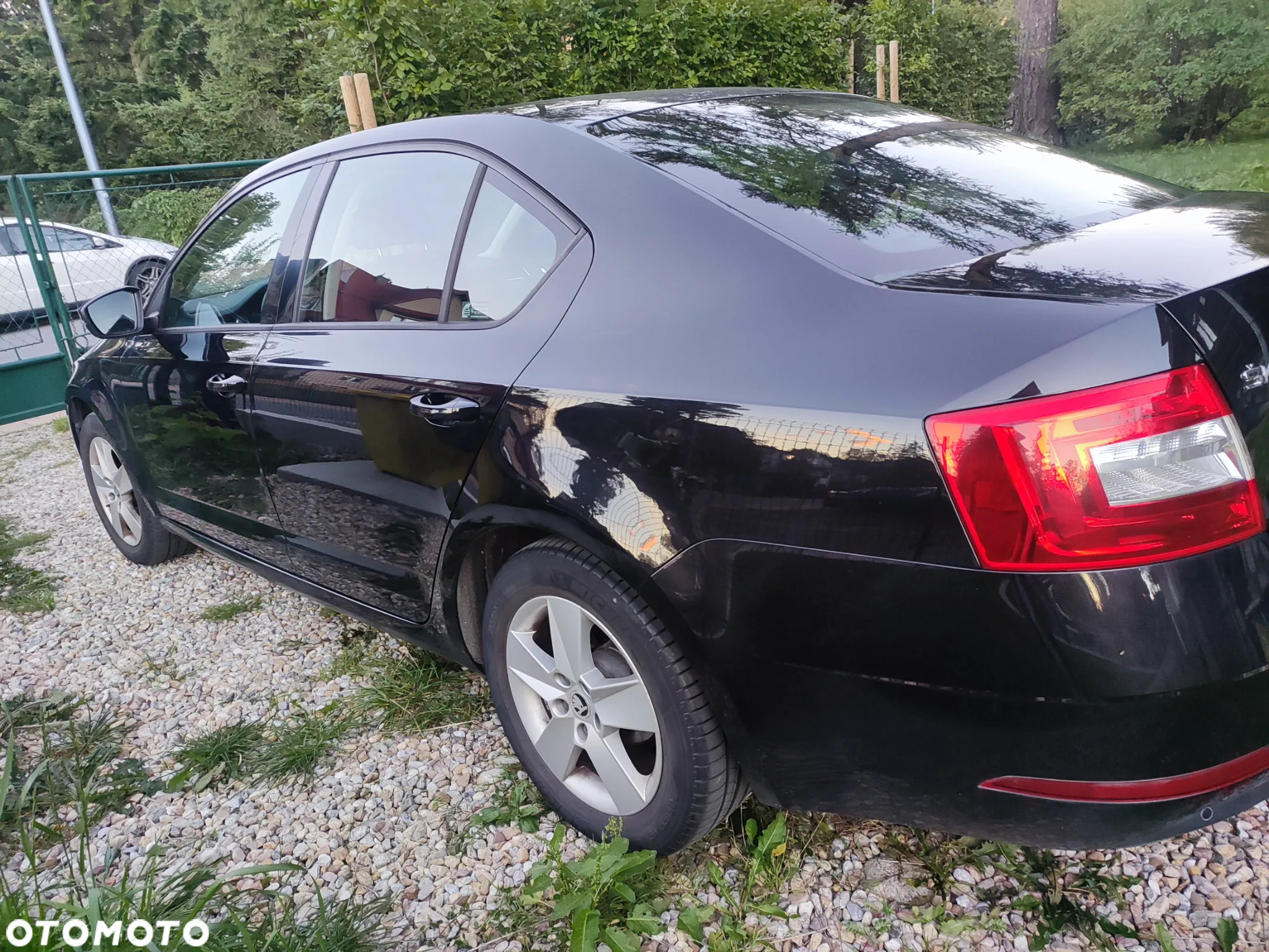 Skoda Octavia - 6