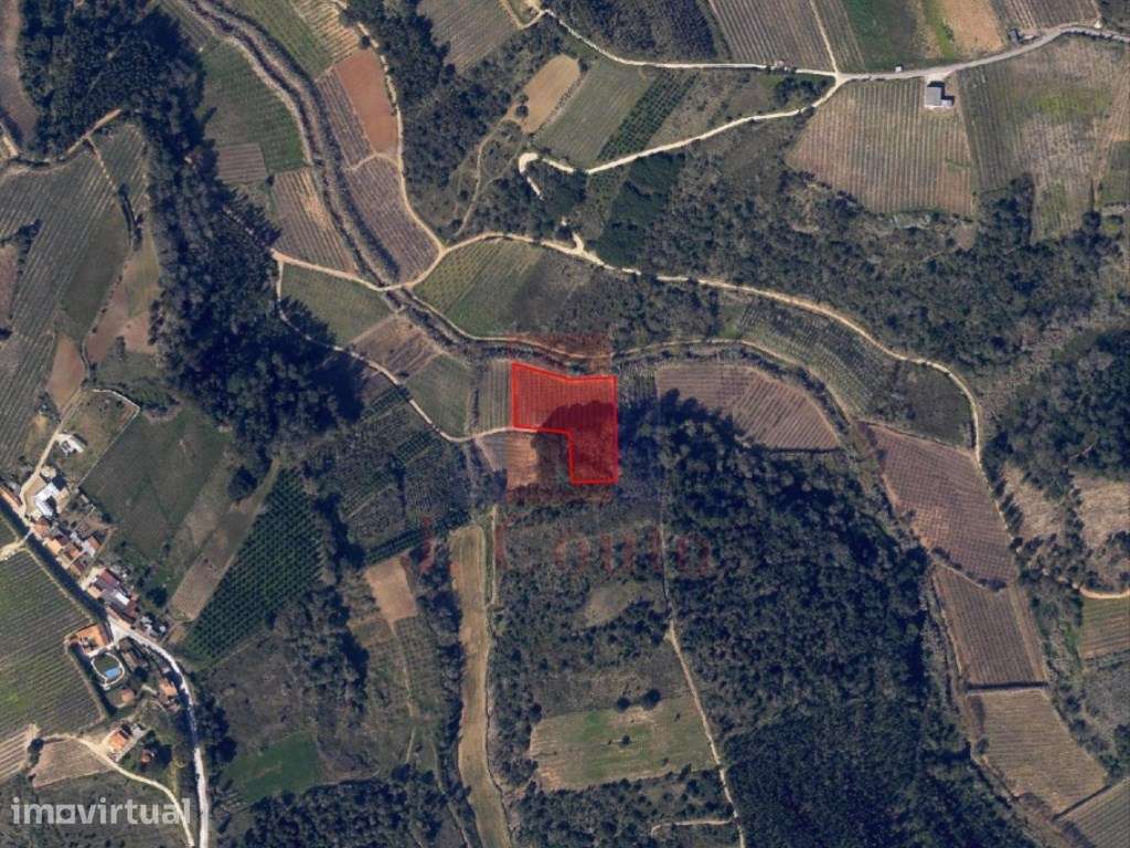 Terreno Rústico com 5.900 m² junto ao Rio Arnóia - Grande imagem: 2/19