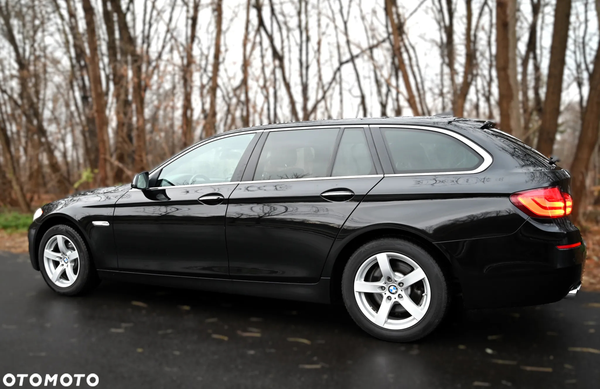 BMW Seria 5 - 20