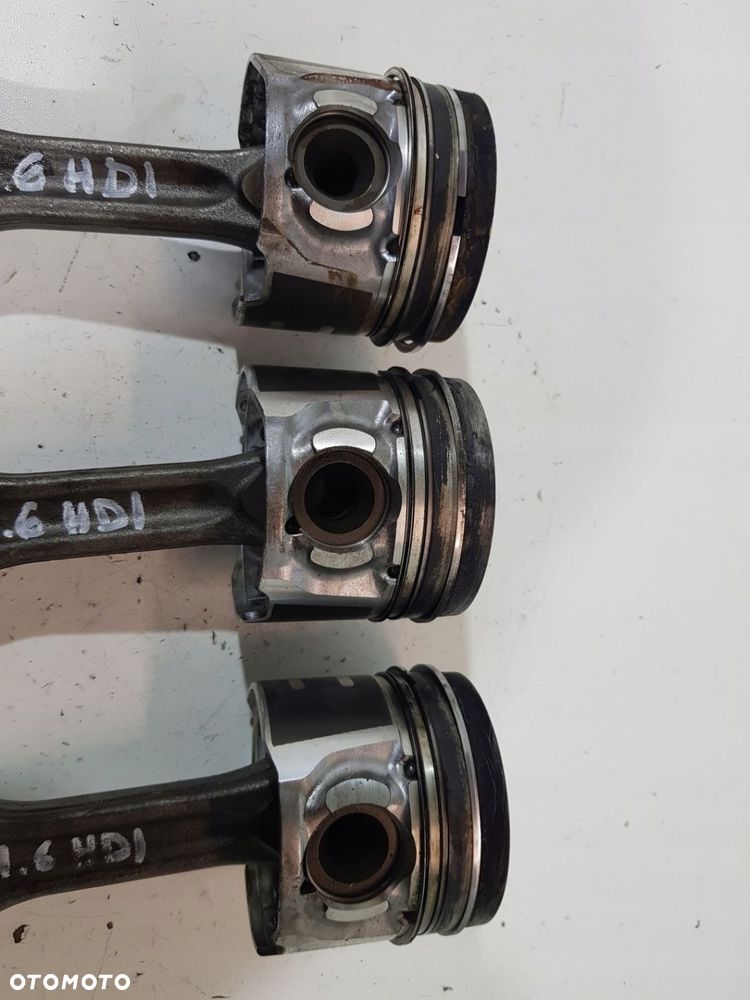 TŁOKKORBOWÓD CITROEN PEUGEOT FORD 1.6 HDI 10JBEH 75L101 - 2