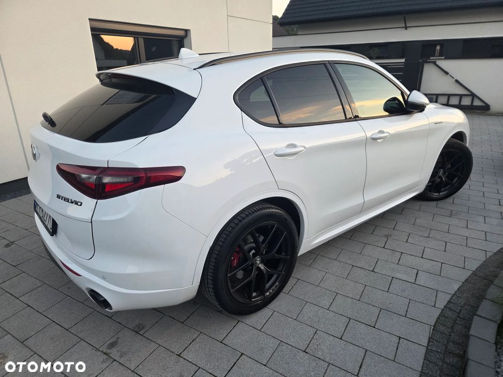 Alfa Romeo Stelvio 2.0 Turbo Veloce Q4 - 19