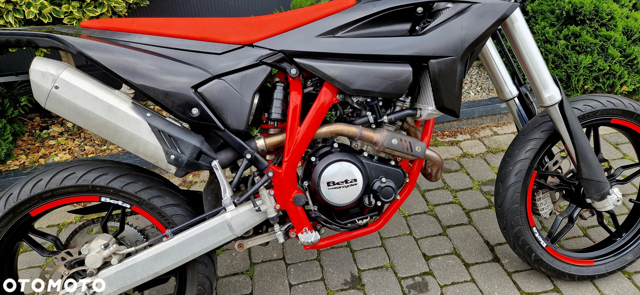 Beta RR - 23