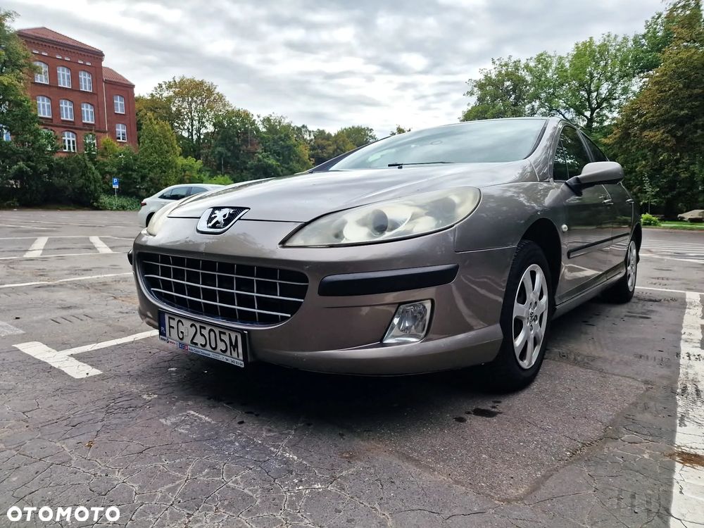 Peugeot 407 - 2