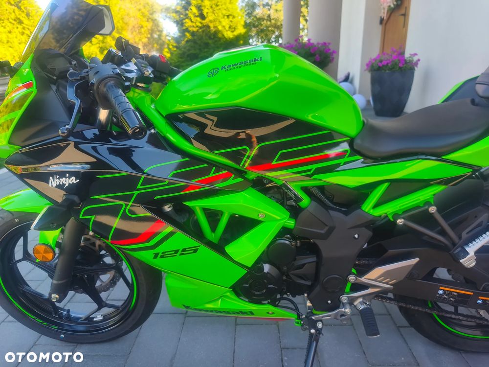 Kawasaki Ninja - 14