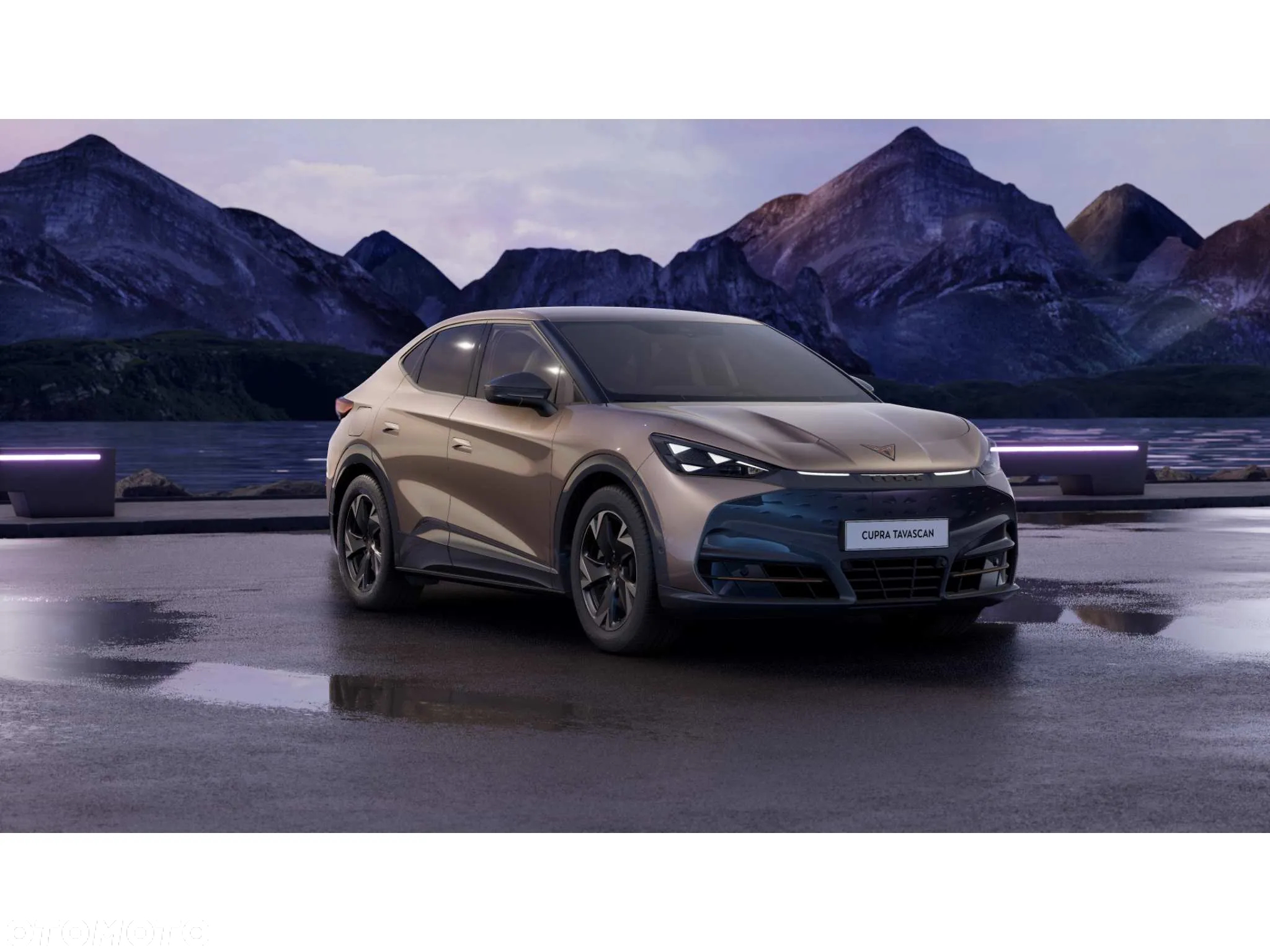 Cupra Tavascan 82kWh Endurance - 11
