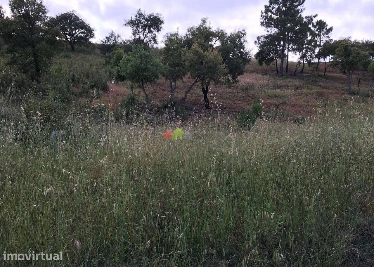 Terreno rústico com nascente de água e belas vistas na serra de Tav - Grande imagem: 4/15