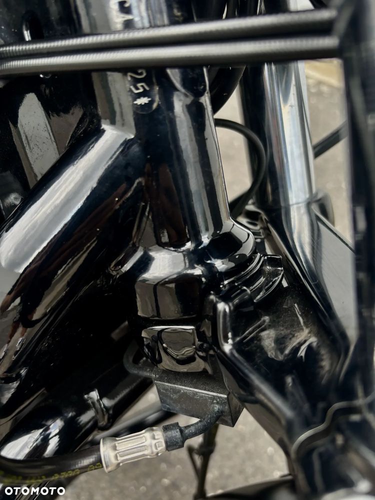 Harley-Davidson Sportster Iron 883 - 19