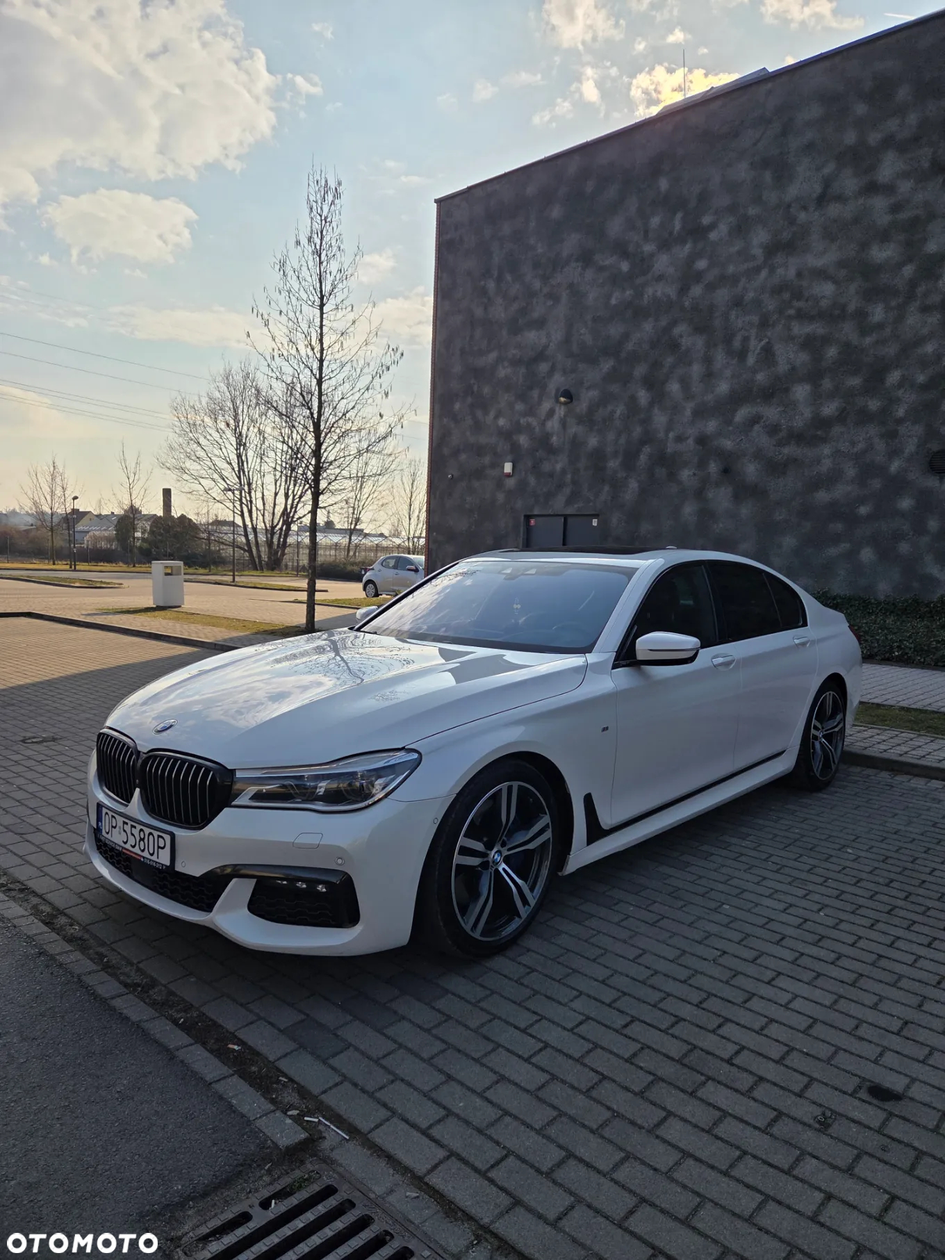 BMW Seria 7 750d xDrive - 3
