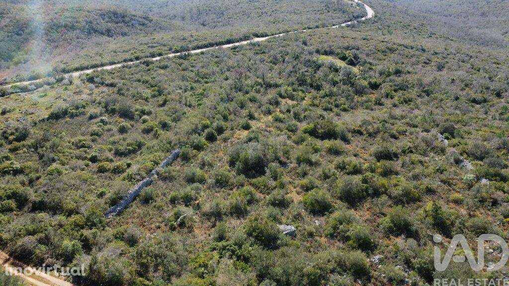Terreno Agrícola em Chãos - Grande imagem: 2/40