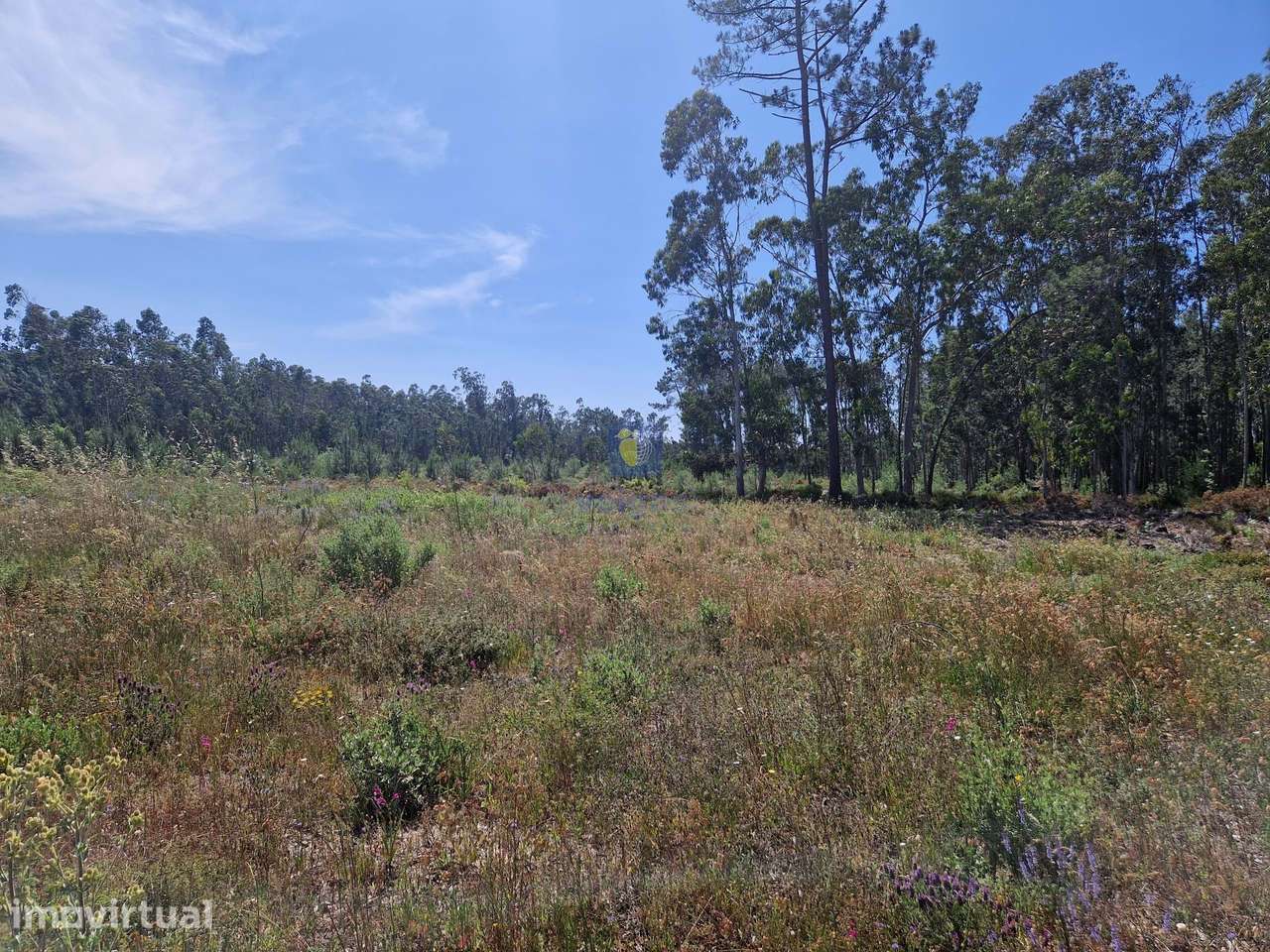 Terreno com 1.485m2 em Amor, Leiria, com viabilidade de construção de - Grande imagem: 5/12