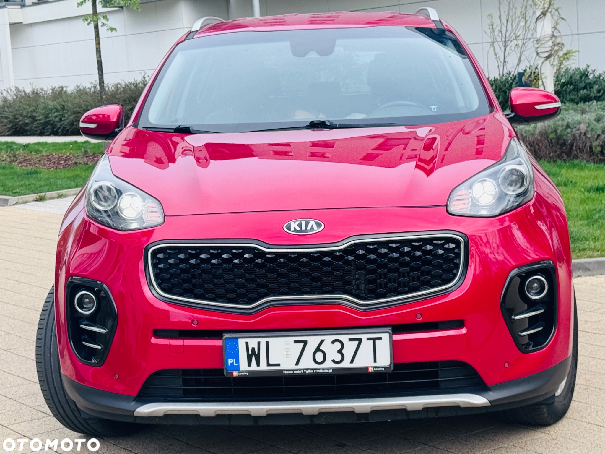Kia Sportage 1.6 T-GDI Business Line 4WD DCT - 2