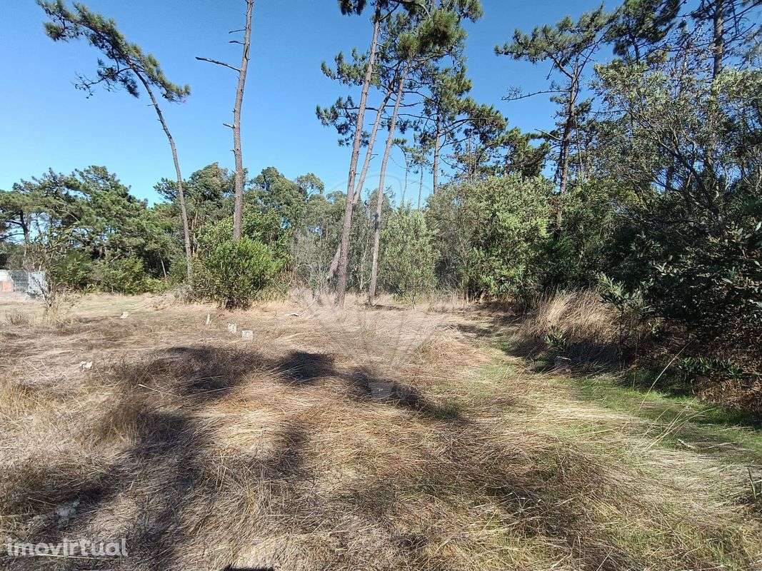 Terreno  para venda - Grande imagem: 4/5