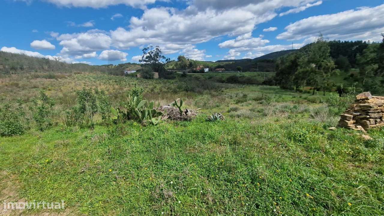 Terreno com Ruina -  S. Bartolomeu de Messines - Grande imagem: 4/15
