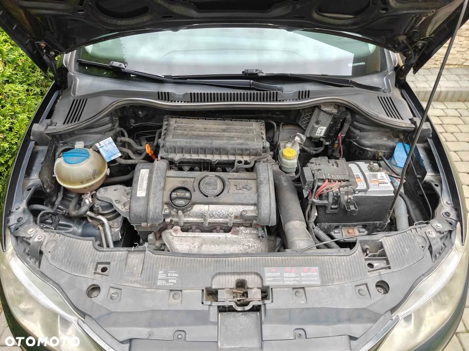 Seat Ibiza - 20
