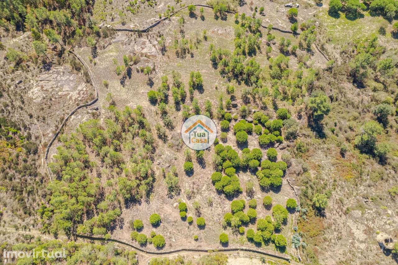 Terreno Rústico com viabilidade de construção em Mangualde - Grande imagem: 2/37