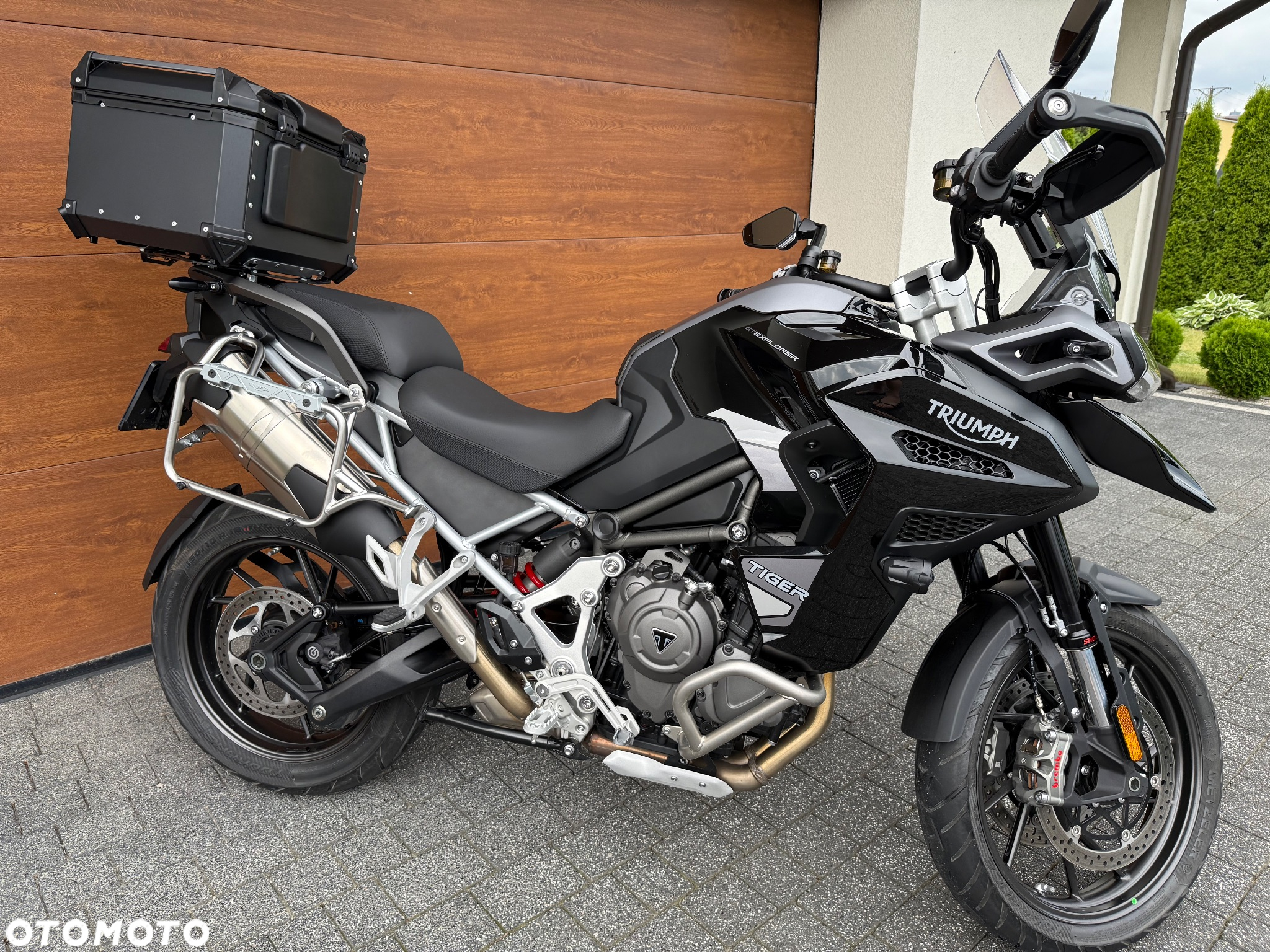 Triumph Tiger - 5
