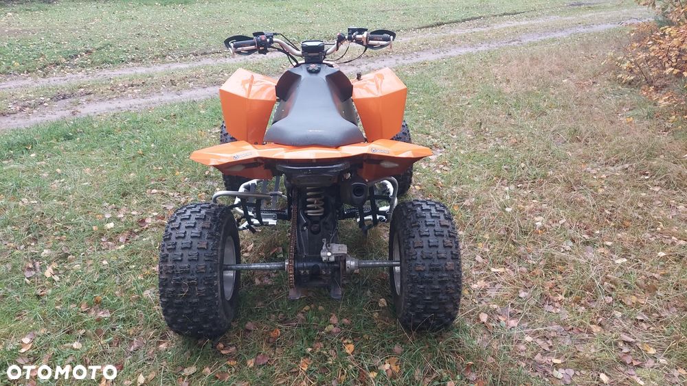 EGL Eglmotor Lyrx - 10