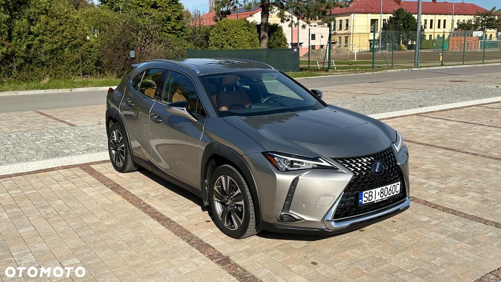 Lexus UX 250h GPF Prestige AWD - 5