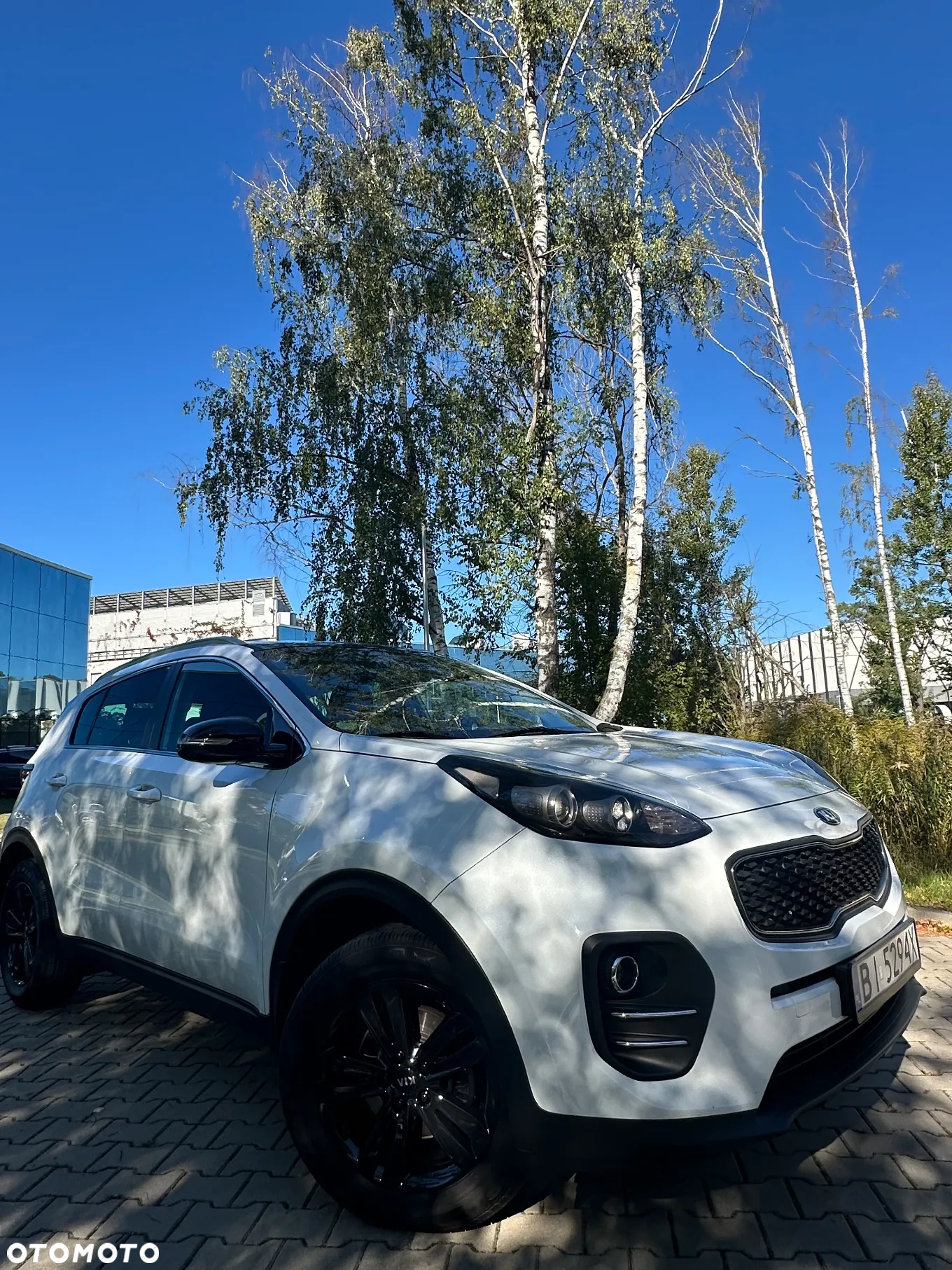 Kia Sportage 1.6 GDI Business Line 2WD - 22
