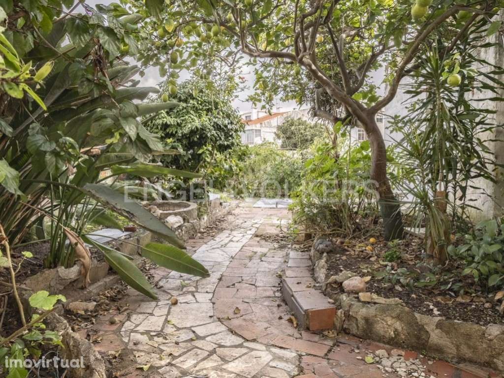 T3 com garagem e logradouro exclusivo - Grande imagem: 2/24