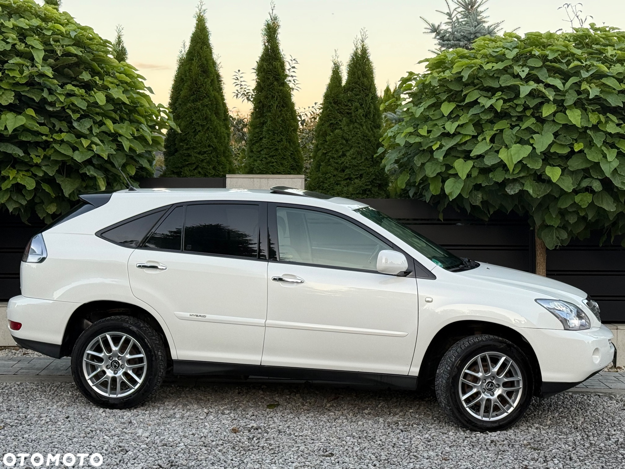 Lexus RX - 7