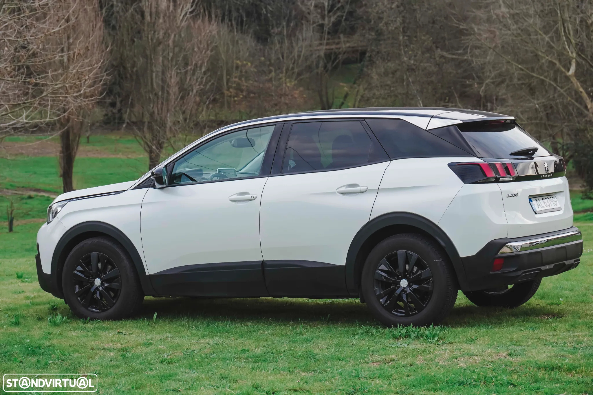 Peugeot 3008 - 22